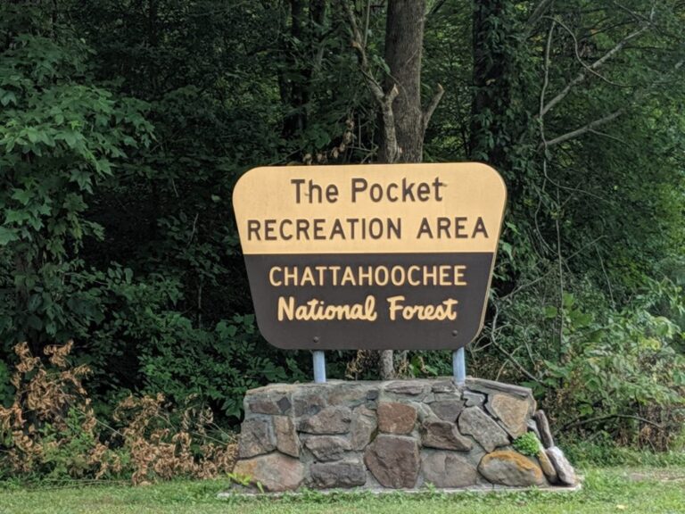 Picture of the pocket National forest sign