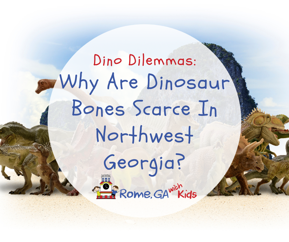 Why Are Dinosaur Bones Scarce In Northwest Georgia?